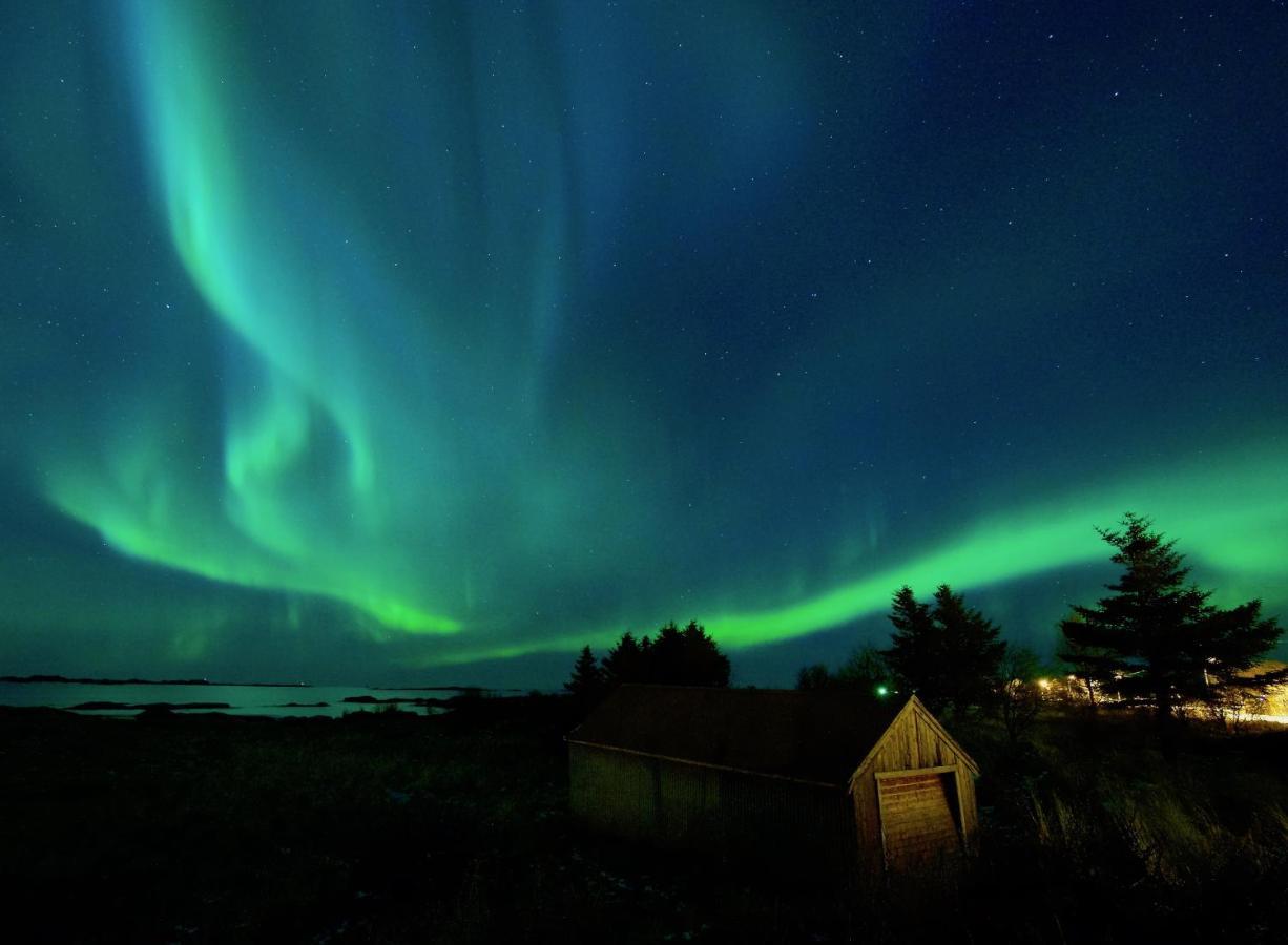 Fishermans Village Lofoten Alstad  エクステリア 写真