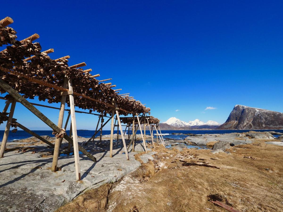 Fishermans Village Lofoten Alstad  エクステリア 写真